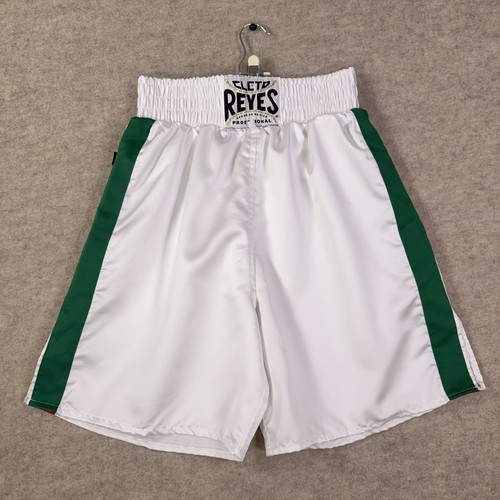 Cleto reyes satin boxing fight - cleto,